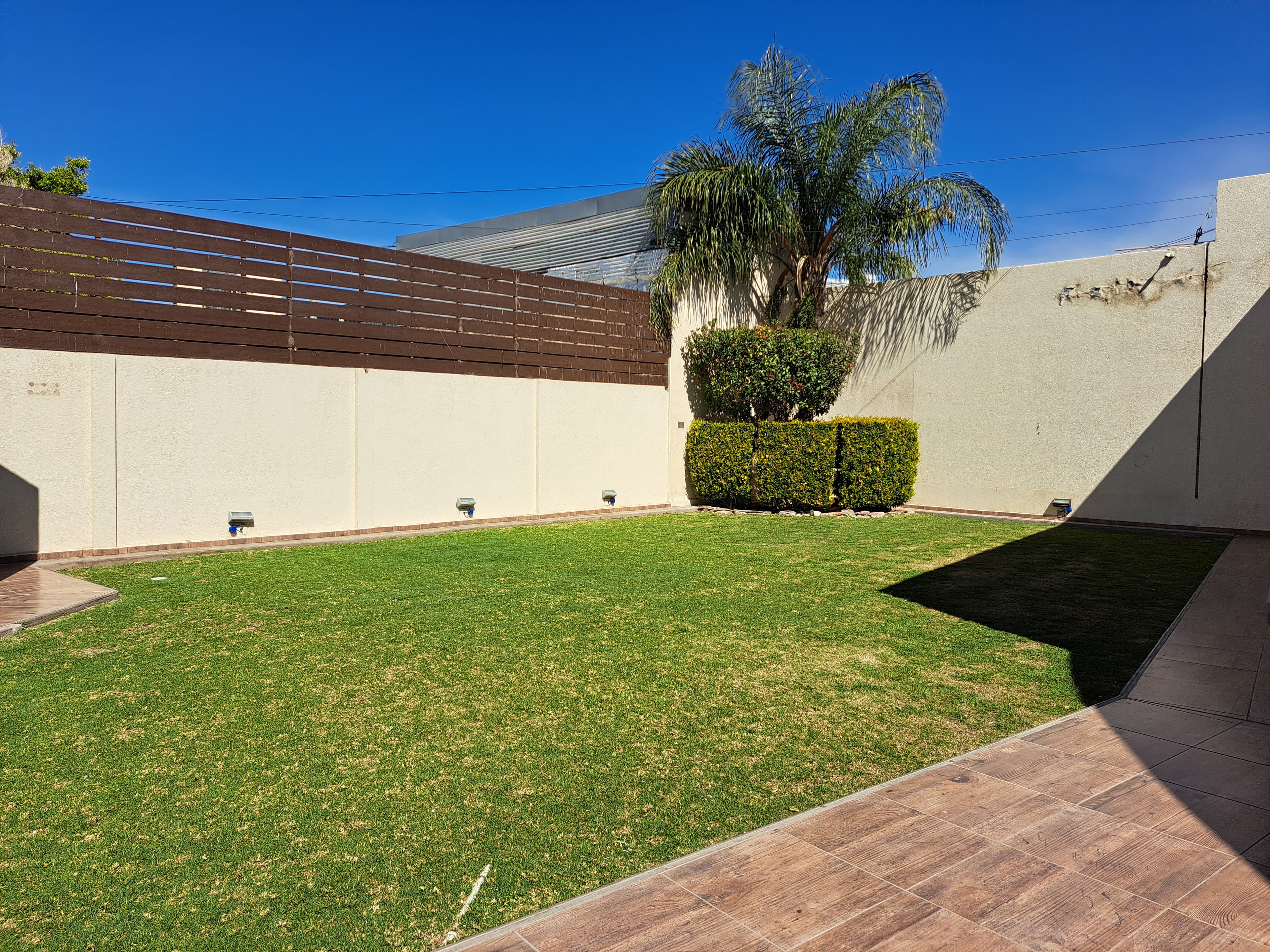 Butacas y disposición del salón